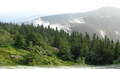 Osserbad