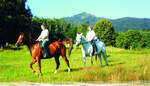 Reiten