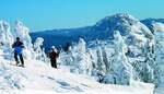 Winterwandern