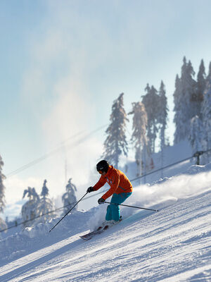Ein Skifahrer fährt schwungvoll eine schneebedeckte Piste im Bayerischen Wald hinunter. Die Sonne scheint auf die verschneiten Bäume.