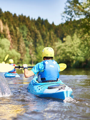 Ein Kajakfahrer ist von hinten zu sehen, wie er durch klares Wasser paddelt. Der Fluss schlängelt sich durch grüne Landschaft des Bayerischen Waldes.