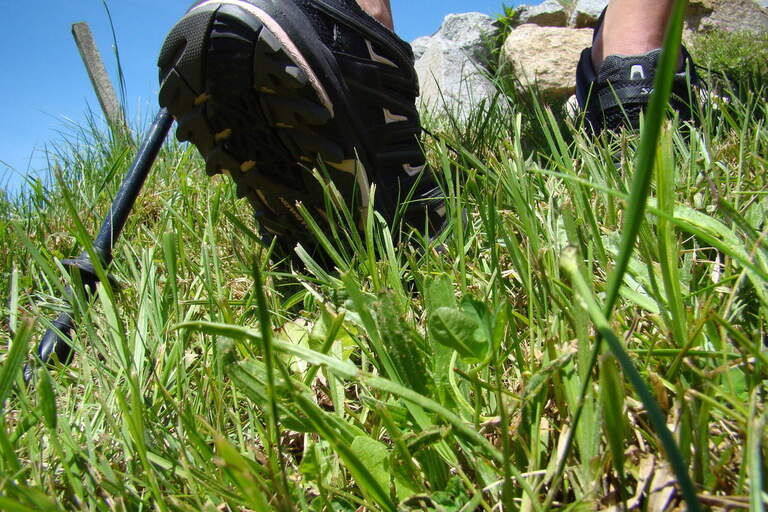 Ein Person mit Nordic Walking Schuhen geht spazieren auf einer grünen Wiese im Bayerischen Wald.