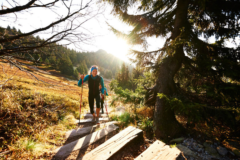 Eine Person wandert auf einem hölzernen Pfad durch den Bayerischen Wald.