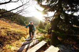 Eine Person wandert auf einem hölzernen Pfad durch den Bayerischen Wald.